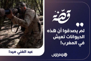 قصة | عبد الغني ميدا يخترق البرية