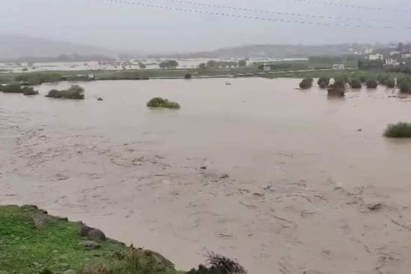 إقليم وجدة يتصدر الأمطار بالمغرب