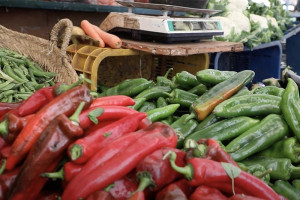 أسعار الخضروات تحلق عاليا