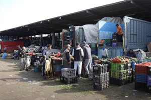 بعد "ارتفاعات قياسية" .. استقرار أسعار الفواكه والخضر بأسواق الجملة‎