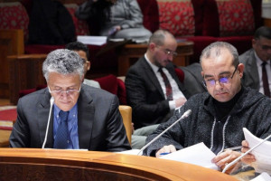 وهبي: التلبس لا يعني الجريمة .. والنيابة العامة تنطلق من "عقلية اتهامية"