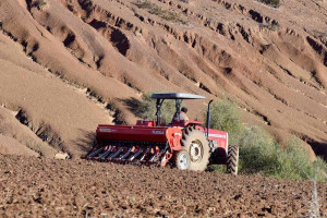 وزارة الأوقاف تنظم مشاريع الحبوس