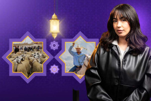 الفراقشية.. لصوص الغنم