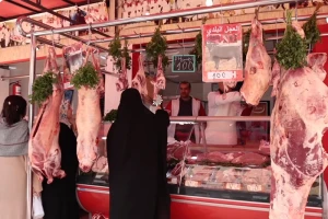 منع ذبح إناث الماشية