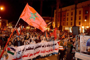 المغاربة يتضامنون مع فلسطين