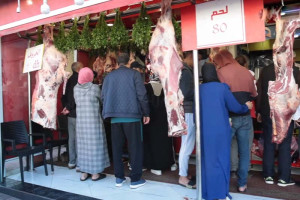 تراجع أسعار اللحوم الحمراء