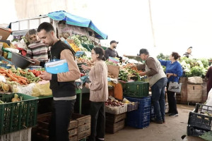 أسعار الخضر في الأسواق