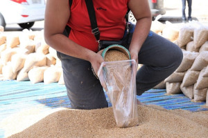 تطورات دولية إيجابية تسمح للمغرب بتقليص منحة استيراد القمح اللين
