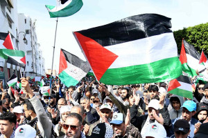 التعليم المغربي يتضامن مع فلسطين