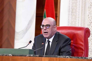 ولد الرشيد: المراقبة البرلمانية للحكومة تتم وفق التوازن والتعاون بين السلط