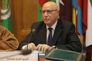 خطابي يذكر بمجهود الجامعة العربية