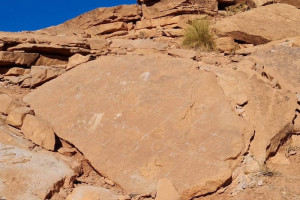 صخرة أثرية لزواحف طائرة عمرها ملايين السنين تتعرض للسرقة بميدلت