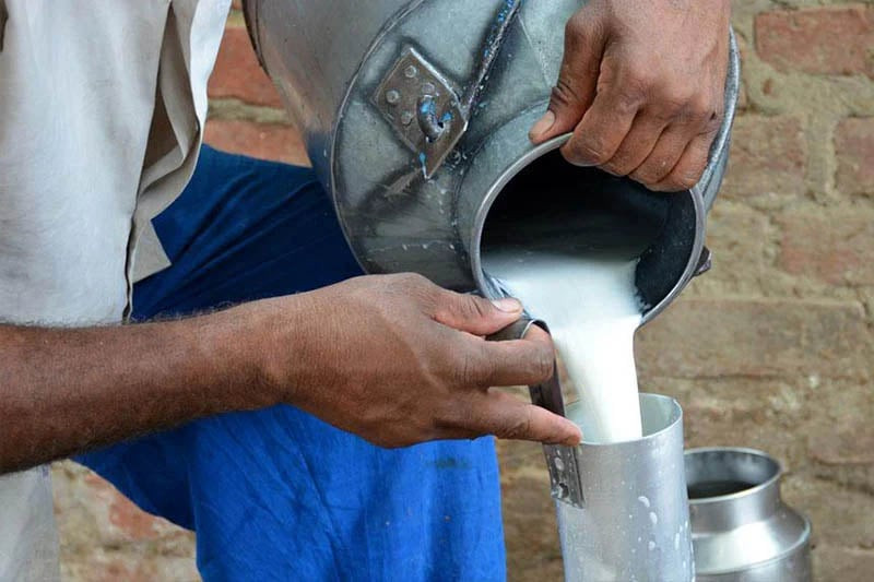 جدل السل في الحليب غير المبستر
