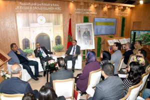 المحاكم المالية والتنمية المجالية