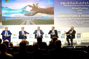 مسؤولون وباحثون يناقشون تأمين المخزون الاستراتيجي للحبوب والقطاني