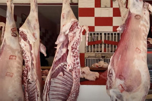 تفاوت كبير في أسعار اللحوم