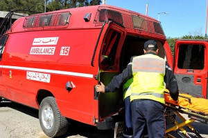 انقلاب جرار يصرع شقيقين بالزوادة