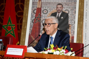 العلمي: الإرهابيون والانفصاليون يحرمون الأفارقة من التقدم والازدهار